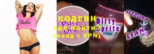 дживик Няндома