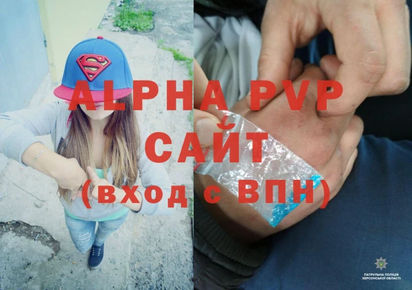 скорость Новозыбков