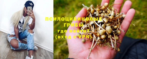 скорость Новозыбков