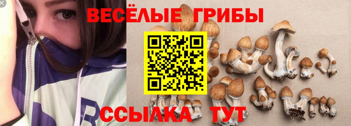 Ялуторовск  Галлюциногенные грибы мухоморы  Псилоцибиновые грибы Magic Shrooms  Вход с VPN 